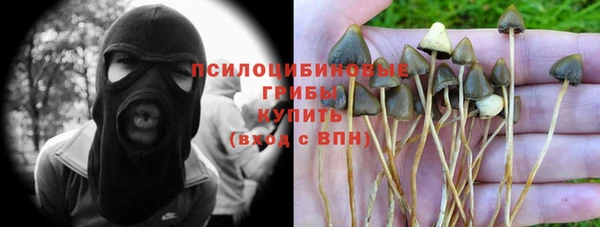 крисы Вяземский
