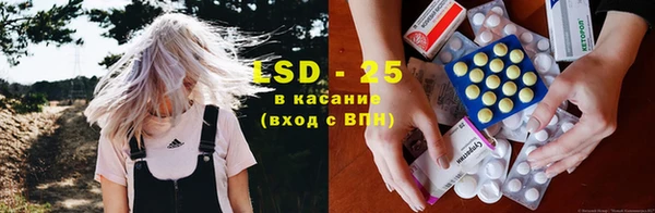 крисы Вяземский