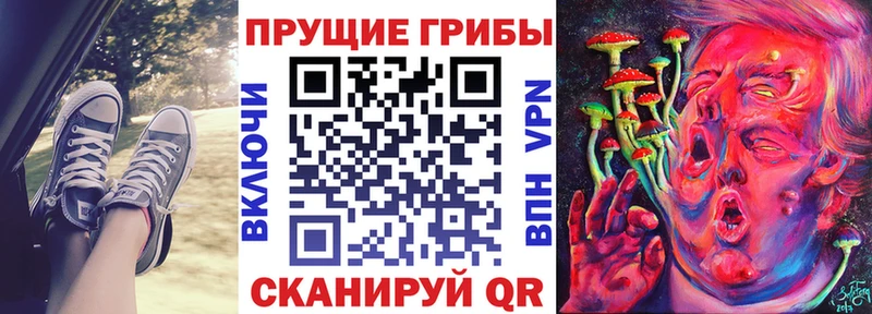 hydra ссылки  Гдов  Псилоцибиновые грибы Magic Shrooms 